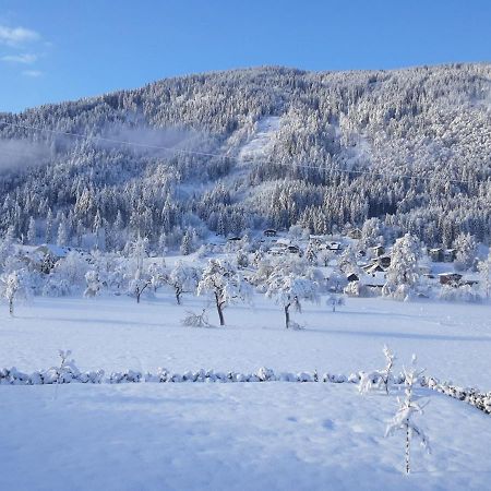 Apartment-Ferienwohnung 3 Treffen Am Ossiachersee Buitenkant foto