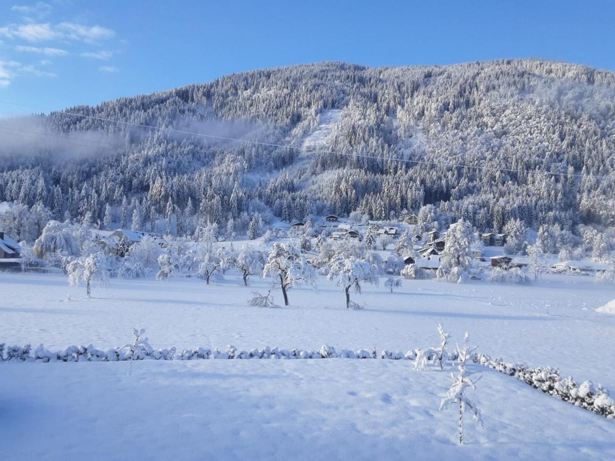 Apartment-Ferienwohnung 3 Treffen Am Ossiachersee Buitenkant foto